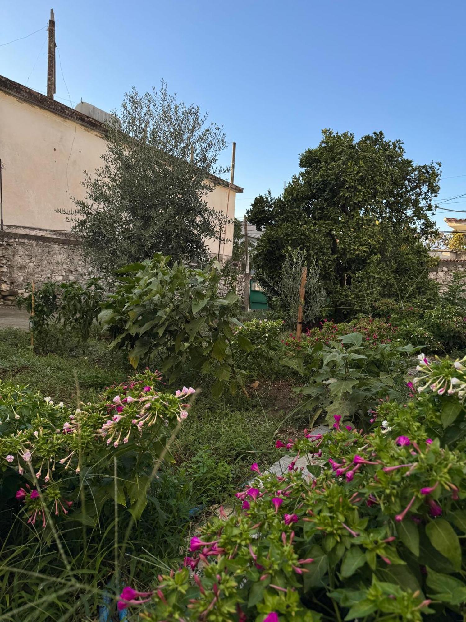 Ardjon House Hostel Berat Bagian luar foto